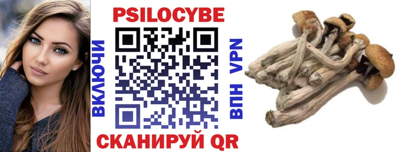 кракен ссылки  Татарск  Псилоцибиновые грибы Magic Shrooms  купить  цена 