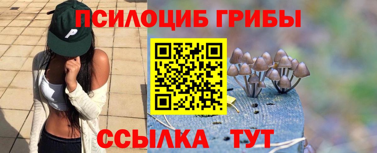 Татарск  Галлюциногенные грибы прущие грибы  Вход с VPN 