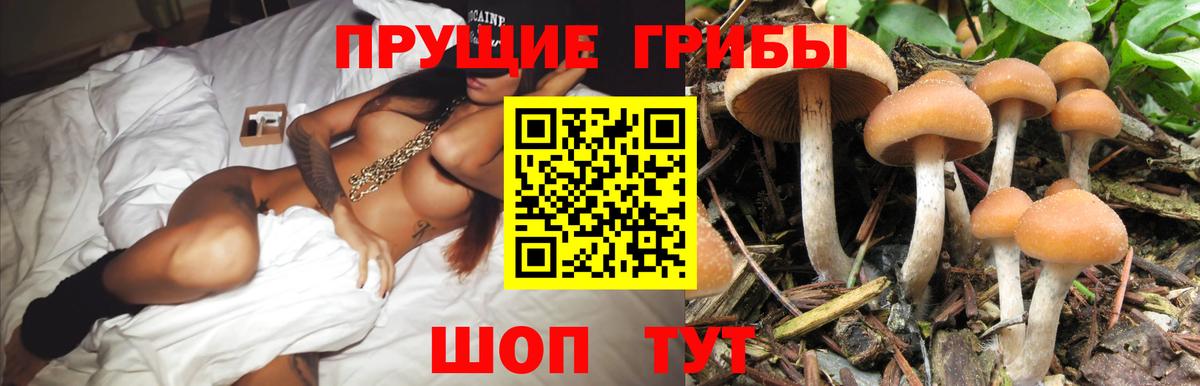Псилоцибиновые грибы MAGIC MUSHROOMS Татарск
